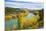 Caravan Crossing a Bridge on the Clutha River in Autumn, Wanaka, South Island, New Zealand, Pacific-Matthew Williams-Ellis-Mounted Photographic Print