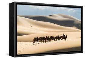 Caravan of Bactrian Camels in the Khongoryn Els in Gobi Gurvansaikhan National Park..., 2016 (Photo-Ira Block-Framed Stretched Canvas