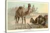 Caravan of Camels-null-Stretched Canvas