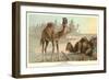 Caravan of Camels-null-Framed Art Print