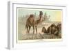 Caravan of Camels-null-Framed Art Print