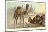 Caravan of Camels-null-Mounted Art Print