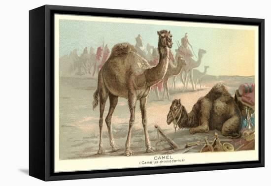 Caravan of Camels-null-Framed Stretched Canvas