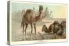 Caravan of Camels-null-Stretched Canvas