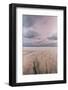 Carbis Bay Beach at Dawn, St. Ives, Cornwall, England, United Kingdom, Europe-Mark Doherty-Framed Photographic Print