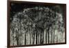 Carbon Forest-Jodi Maas-Framed Giclee Print