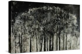 Carbon Forest-Jodi Maas-Stretched Canvas