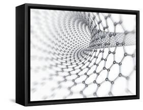 Carbon Nanotube-PASIEKA-Framed Stretched Canvas