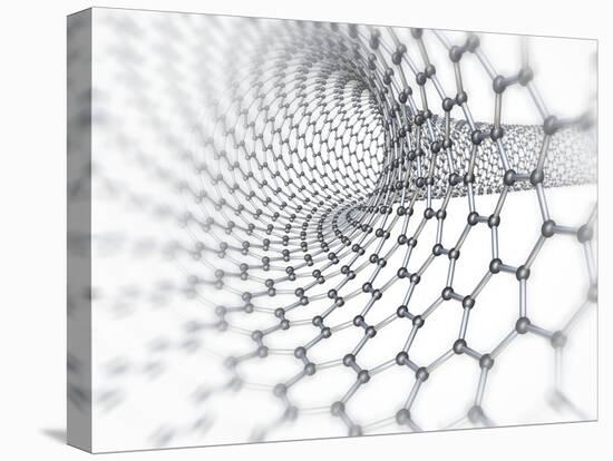 Carbon Nanotube-PASIEKA-Stretched Canvas