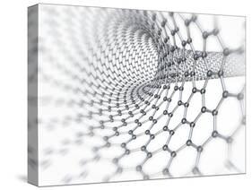 Carbon Nanotube-PASIEKA-Stretched Canvas