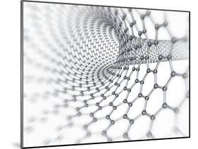 Carbon Nanotube-PASIEKA-Mounted Photographic Print