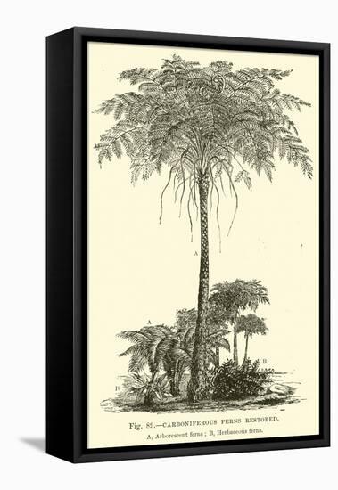 Carboniferous Ferns Restored-null-Framed Stretched Canvas