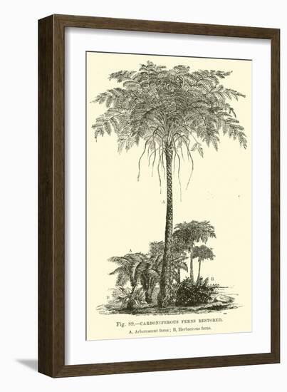 Carboniferous Ferns Restored-null-Framed Giclee Print