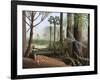 Carboniferous Insects, Artwork-Richard Bizley-Framed Photographic Print