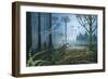 Carboniferous Landscape-null-Framed Photographic Print