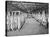 Carcases of Meat Hang from Hooks in the Huge Refrigerated Rooms of the Chicago Stockyards-null-Stretched Canvas