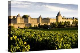 Carcassonne, Languedoc-Roussillon, France-phbcz-Stretched Canvas