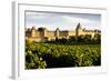 Carcassonne, Languedoc-Roussillon, France-phbcz-Framed Photographic Print