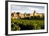 Carcassonne, Languedoc-Roussillon, France-phbcz-Framed Photographic Print