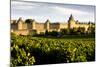 Carcassonne, Languedoc-Roussillon, France-phbcz-Mounted Photographic Print