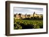 Carcassonne, Languedoc-Roussillon, France-phbcz-Framed Photographic Print