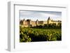 Carcassonne, Languedoc-Roussillon, France-phbcz-Framed Photographic Print