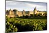 Carcassonne, Languedoc-Roussillon, France-phbcz-Mounted Photographic Print