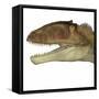 Carcharodontosaurus Dinosaur Head-Stocktrek Images-Framed Stretched Canvas