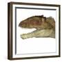 Carcharodontosaurus Dinosaur Head-Stocktrek Images-Framed Art Print