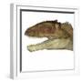 Carcharodontosaurus Dinosaur Head-Stocktrek Images-Framed Art Print