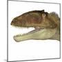 Carcharodontosaurus Dinosaur Head-Stocktrek Images-Mounted Art Print