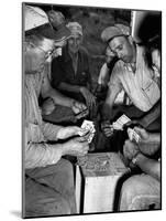 Card Sharks-null-Mounted Photographic Print