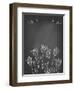 Card with Tulips on Chalkboard-tukkki-Framed Art Print