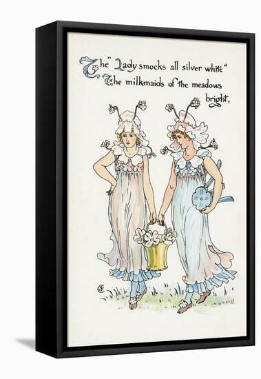 Cardamine Pratensis-Walter Crane-Framed Stretched Canvas