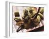 Cardamom Pods and Cloves-Eising Studio - Food Photo and Video-Framed Photographic Print