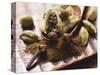 Cardamom Pods and Cloves-Eising Studio - Food Photo and Video-Stretched Canvas