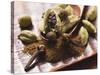 Cardamom Pods and Cloves-Eising Studio - Food Photo and Video-Stretched Canvas