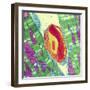 Cardiac Muscle And Capillary, TEM-Thomas Deerinck-Framed Premium Photographic Print