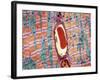 Cardiac Muscle And Capillary, TEM-Thomas Deerinck-Framed Photographic Print