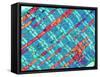 Cardiac Muscle, TEM-Thomas Deerinck-Framed Stretched Canvas