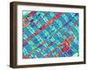 Cardiac Muscle, TEM-Thomas Deerinck-Framed Photographic Print