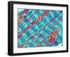 Cardiac Muscle, TEM-Thomas Deerinck-Framed Photographic Print