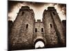 Cardiff Castle 3-Clive Nolan-Mounted Photographic Print