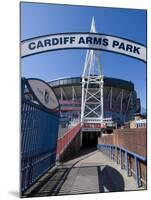 Cardiff Millennium Stadium at Cardiff Arms Park, Cardiff, Wales, United Kingdom, Europe-Ethel Davies-Mounted Photographic Print