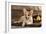 Cardigan Welsh Corgi Dog Breed-Lilun-Framed Photographic Print