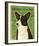 Cardigan Welsh Corgi-John Golden-Framed Giclee Print