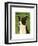 Cardigan Welsh Corgi-John W^ Golden-Framed Art Print