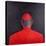 Cardinal, 2005-Lincoln Seligman-Stretched Canvas