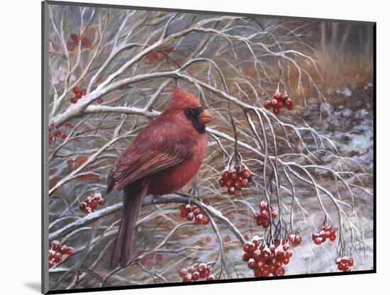 Cardinal and Berries-Kevin Dodds-Mounted Giclee Print