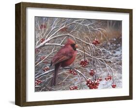 Cardinal and Berries-Kevin Dodds-Framed Giclee Print